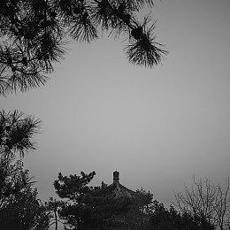 卡普空官宣：《怪物猎人：荒野》三天内销量突破800万份